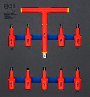Bgs einlage 2 3 - bgs, 2/3